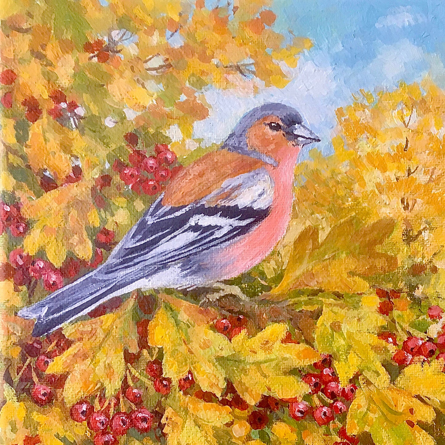 Chaffinch and Hawthorn