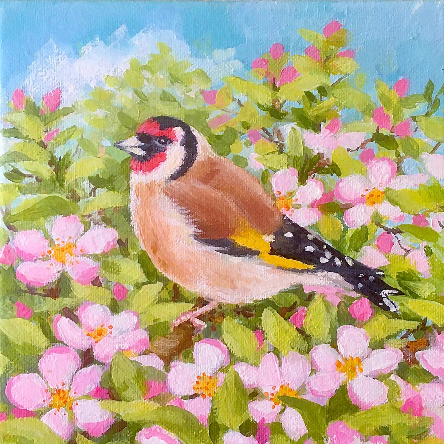 Goldfinch and Blossom