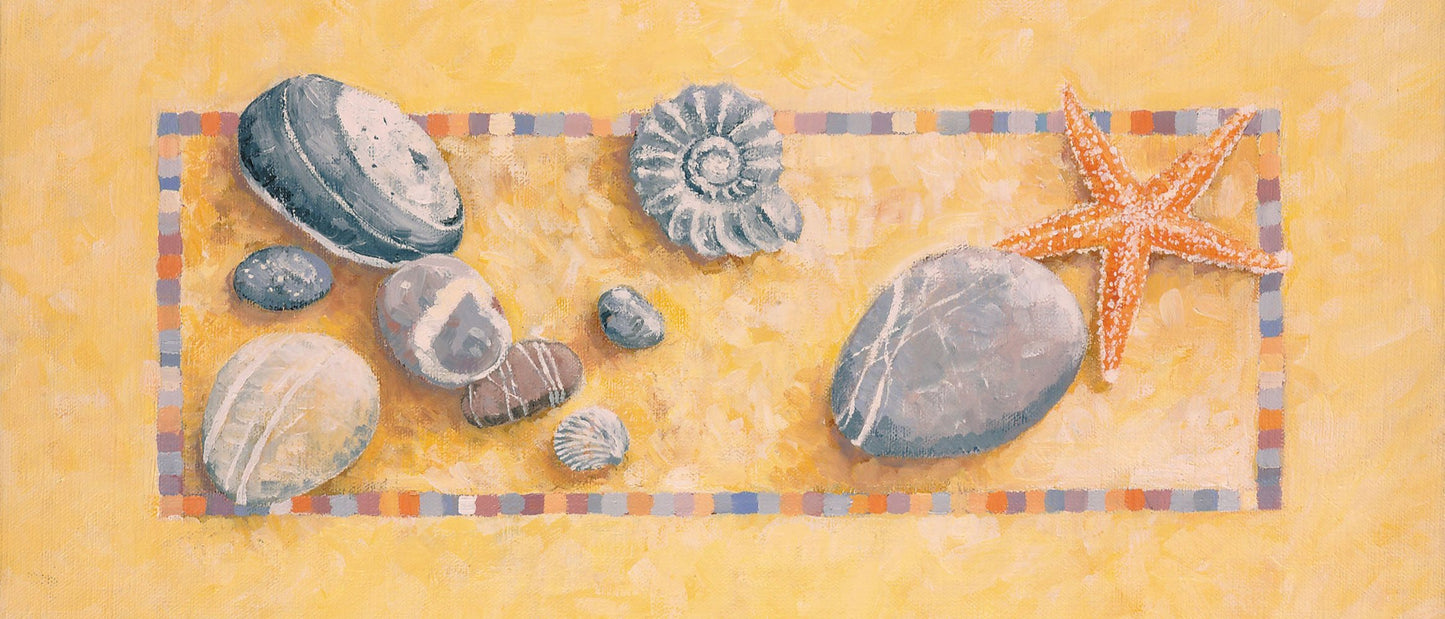 Stones, Starfish, Fossil