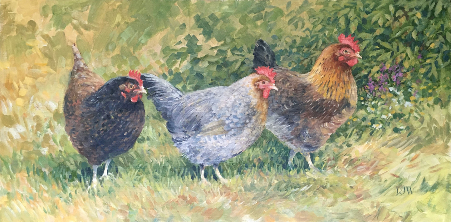 Three Chickens